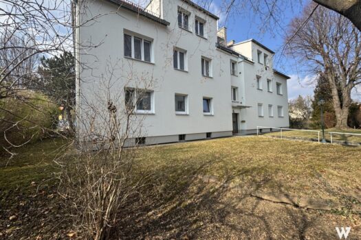 6WIHDWnxLAy9Y55Um7Xvwn