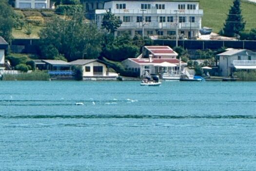 6XPuS20UIAnTcHaynW0qPA