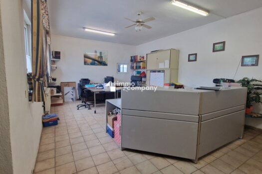 6jOHq535G11pvvUlsiYnQn