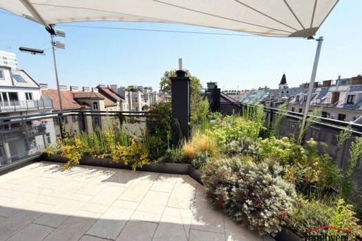 6mMmyn1Zz83ZauHqxRzUid