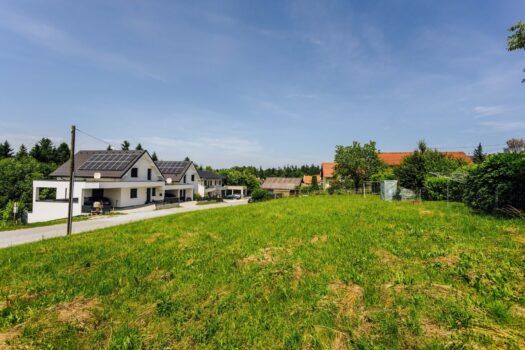 6niuFLhTeznIvSmn4m5kJ0