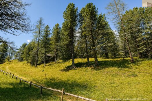 7Fs99VWIumu2JFwx8mA71w