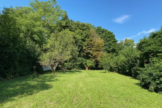 7ikWqzfzdiwBkJ3fwmAK2u