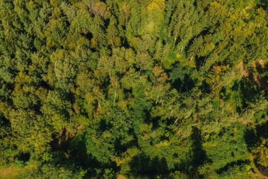 7s5ooV0AtzA8KnzDVbTifi