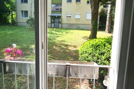Grün vor dem Fenster
