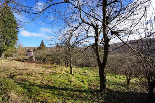 Grundstück mit Panoramablick an der Wiener Stadtgrenze HHJ3uAftn4NsURC7n5GZ6