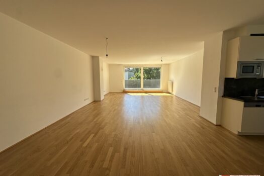 KsB4ZytTcV8FmBa5rGJk