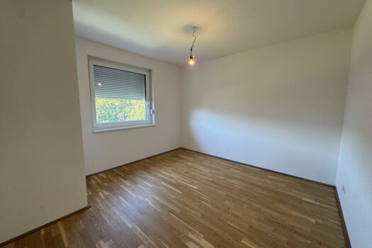 RbH0ZGyreuX56nsDJDGHL 2