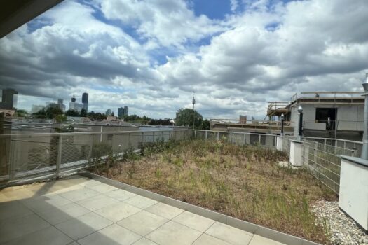 fa66qh2VDJH12MfILKJEh