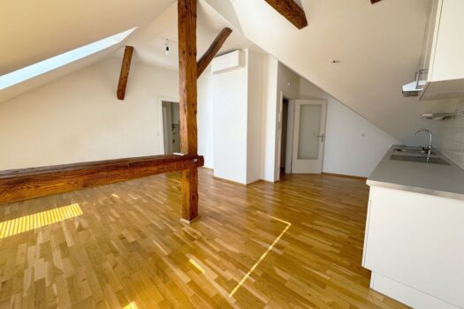 i9QZKdjRCKckmz2lJwO1w