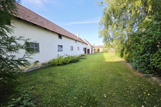 o43RPWDLNF9XUVlo2rzAP