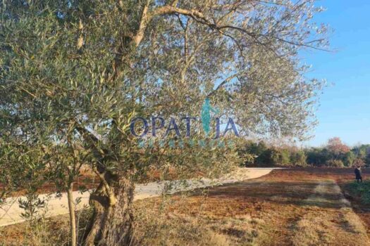 Lands Peroj, Vodnjan, 503m2 1652358015 img 66791ff9bb529a138fb74259caf274d7 v