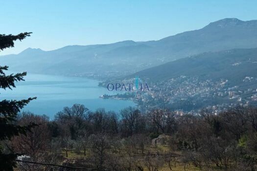 1676462838 whatsapp image 2023 02 15 at 12