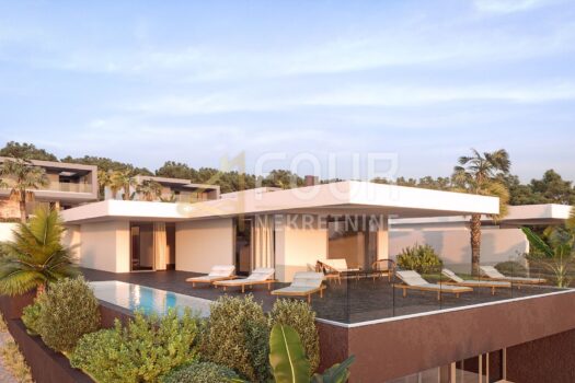 Haus Novalja, 350m2 1688848369 1