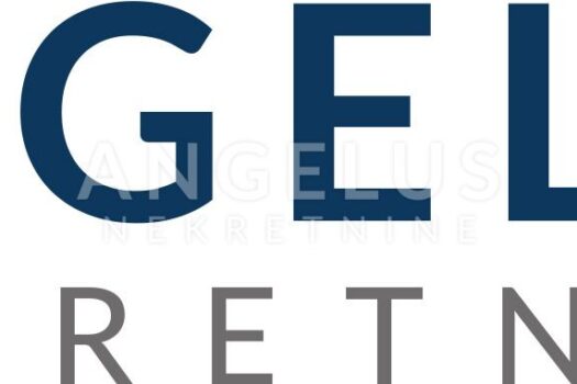 1698164381 angelus logo