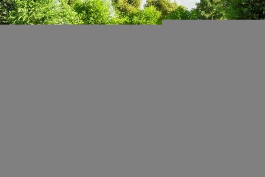 VRBNIK-BAUGRUNDSTÜCK MIT PROJEKT FÜR EINE LUXUSVILLA 1702379430 photo 2023 12 11 13 58 39 2