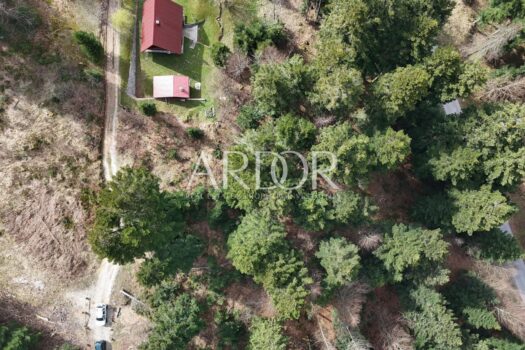 1732015383 66b8913c 6a5d 49c0 89c7 67247f7cf82f 1