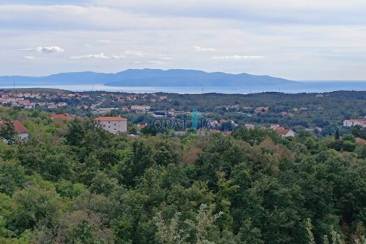 1737022473 1736947980735