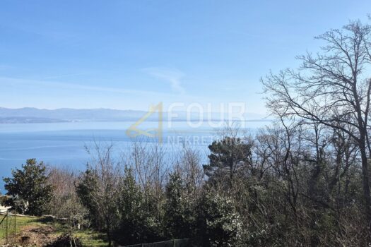 1741192101 lovran 10