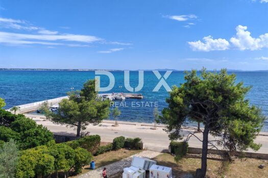 1752137828 img 20250707 160334