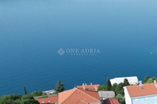 1758753557 1000181595