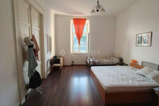 1758809289 milutin 6