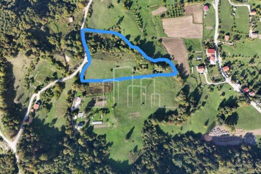 1759132282 1000036617