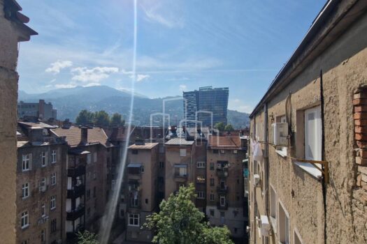 1759304413 1000052343