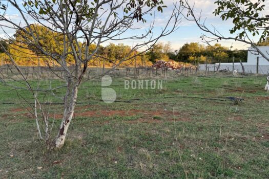 1759351113 0b8ad4d6 edba 4cbe 842c f8c2bf6c956c