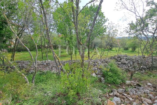 1759386613 574777578 404582 0