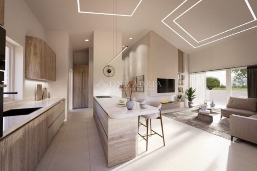 Haus Kaštelir, Kaštelir-Labinci, 330m2 1759493212 tri kuce kompletu istra porec investicijska slika 247600305