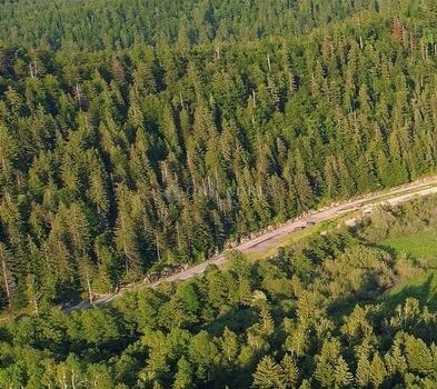 Grundstück Lič, Fužine, 2.930m2 1759745778 suma