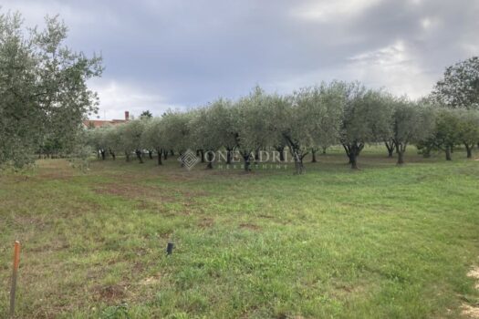 1760085165 gradevinsko zemljiste okolici poreca fuskulin 1006 m2 slika 260402441