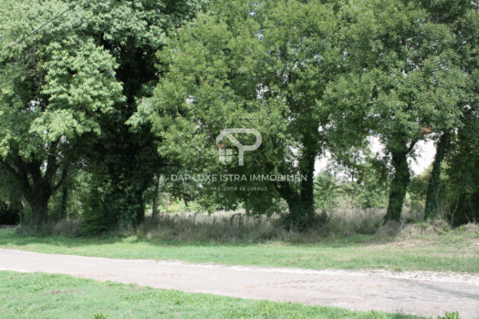 1760228834 screenshot 2025 10 12 at 02 26 33 z