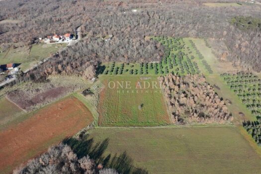 1760345407 porec atraktivni poljoprivredno zemljiste maslinikom slika 255704171