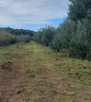 1760355639 pjescana uvala poljoprivredno zemljiste slika 208868924