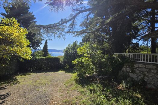 1760447156 1000187236