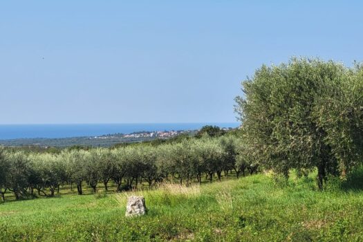 Grundstück Kaštelir, Kaštelir-Labinci, 750m2 1760551551 viber slika 2025 10 15 19 59 57 849 1