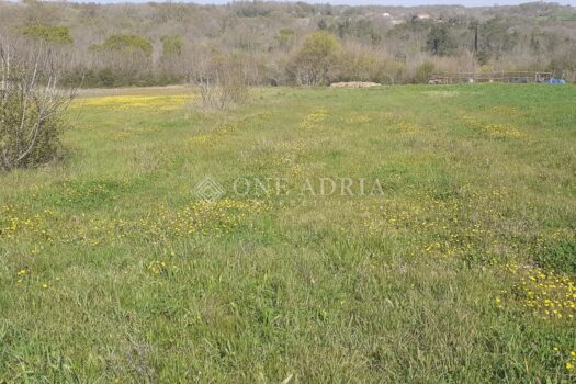 1760614298 0abbbfb3 a3af 4f29 bbc7 43c34849c42d