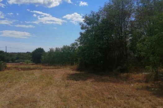 1760718576 thumbnail 1