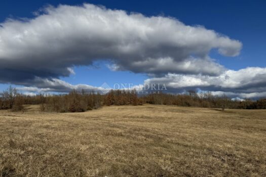 1761031820 poljoprivredno zemljiste lindar 20