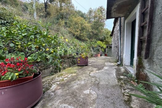 1761214216 rijeka skurinje starina za adaptaciju