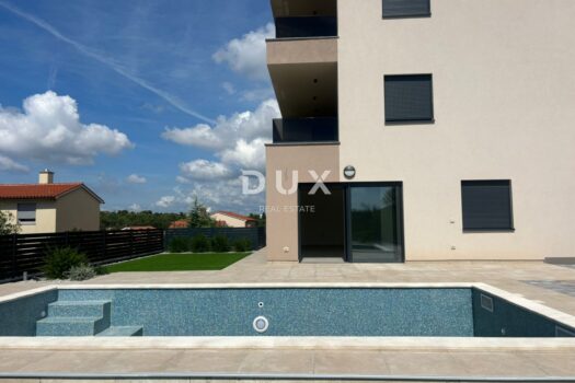 1761300119 whatsapp image 2025 10 24 at 11