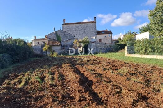 1761562426 whatsapp image 2025 10 27 at 08