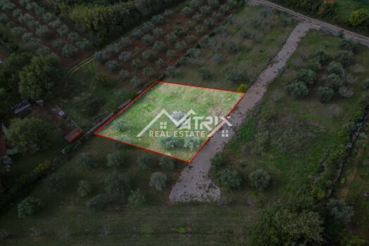 1761579531 mm 19 of 51