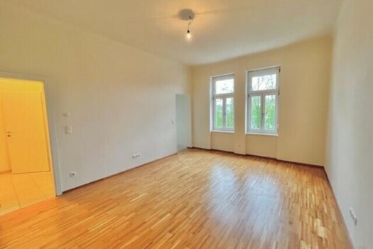 Wohn-/Schlafraum mit Blick zum Vorraum und zur Küche