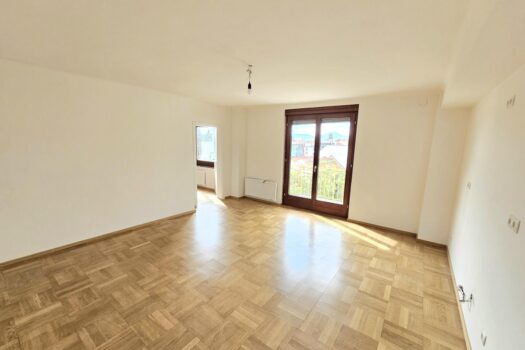 Charmante 3-Zimmer-Wohnung in Toplage – frisch saniert! Stremayrgasse E 1.0 Wohnen/Essen/Kochen