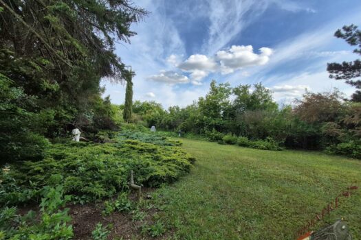1341m2 Bauland mit Altbestand 20250523_180830