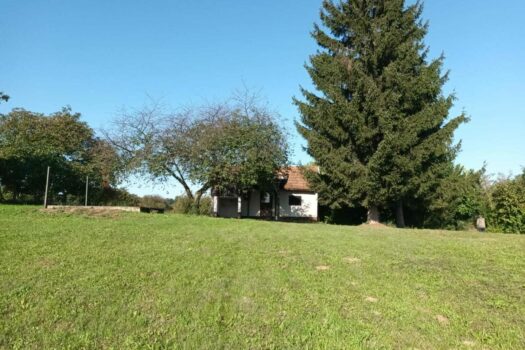 WhatsApp Image 2025-10-08 at 11.22.00