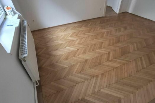 20241115_113648_resized